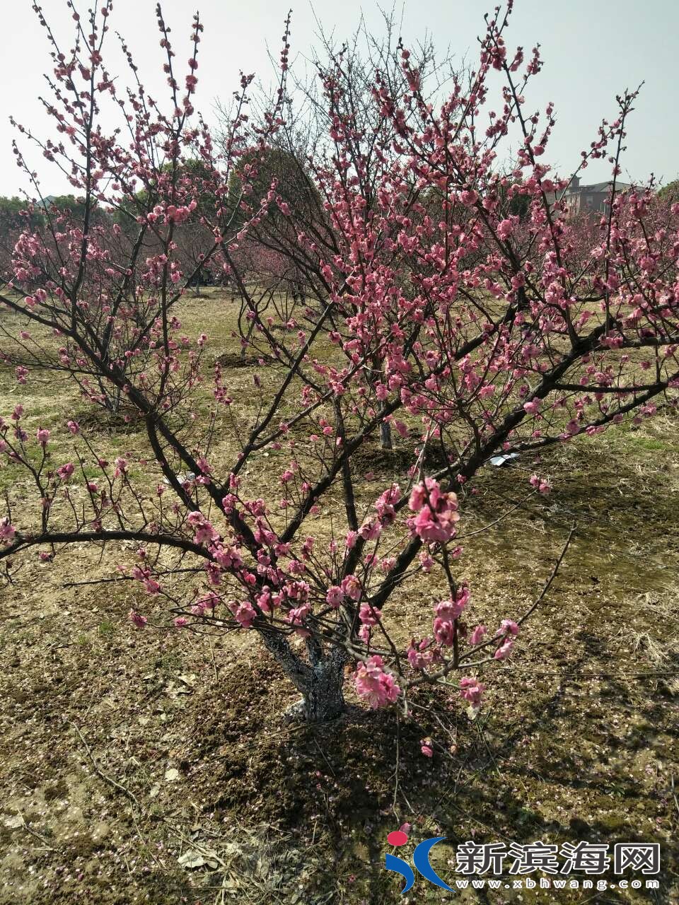 20180310_38432_1520658590098.jpg