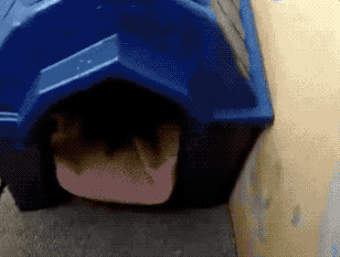 134130r2rrrza2mjjg2062.gif