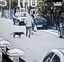 134144bqtdz986moz9q8fx.gif