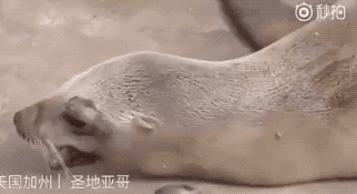 134222e9g0j3g31old0gct.gif