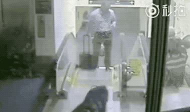 134239uqwv9nnna351inqv.gif