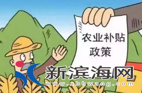 276016fe43ad0597ab49af59a5c2572a.jpeg