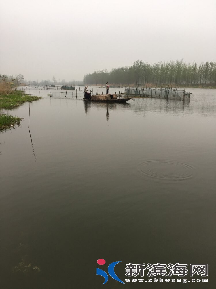 file.jpg