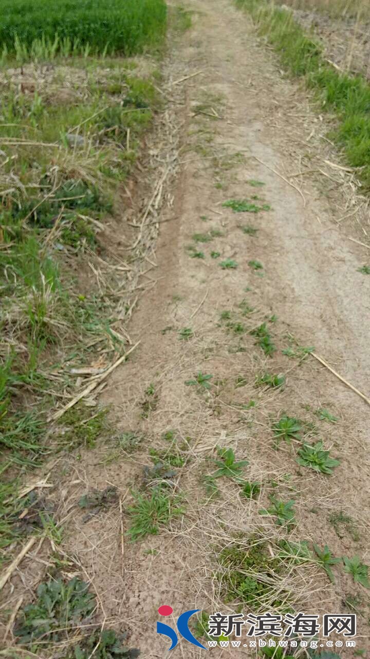 20180412_56309_1523507624521.jpg