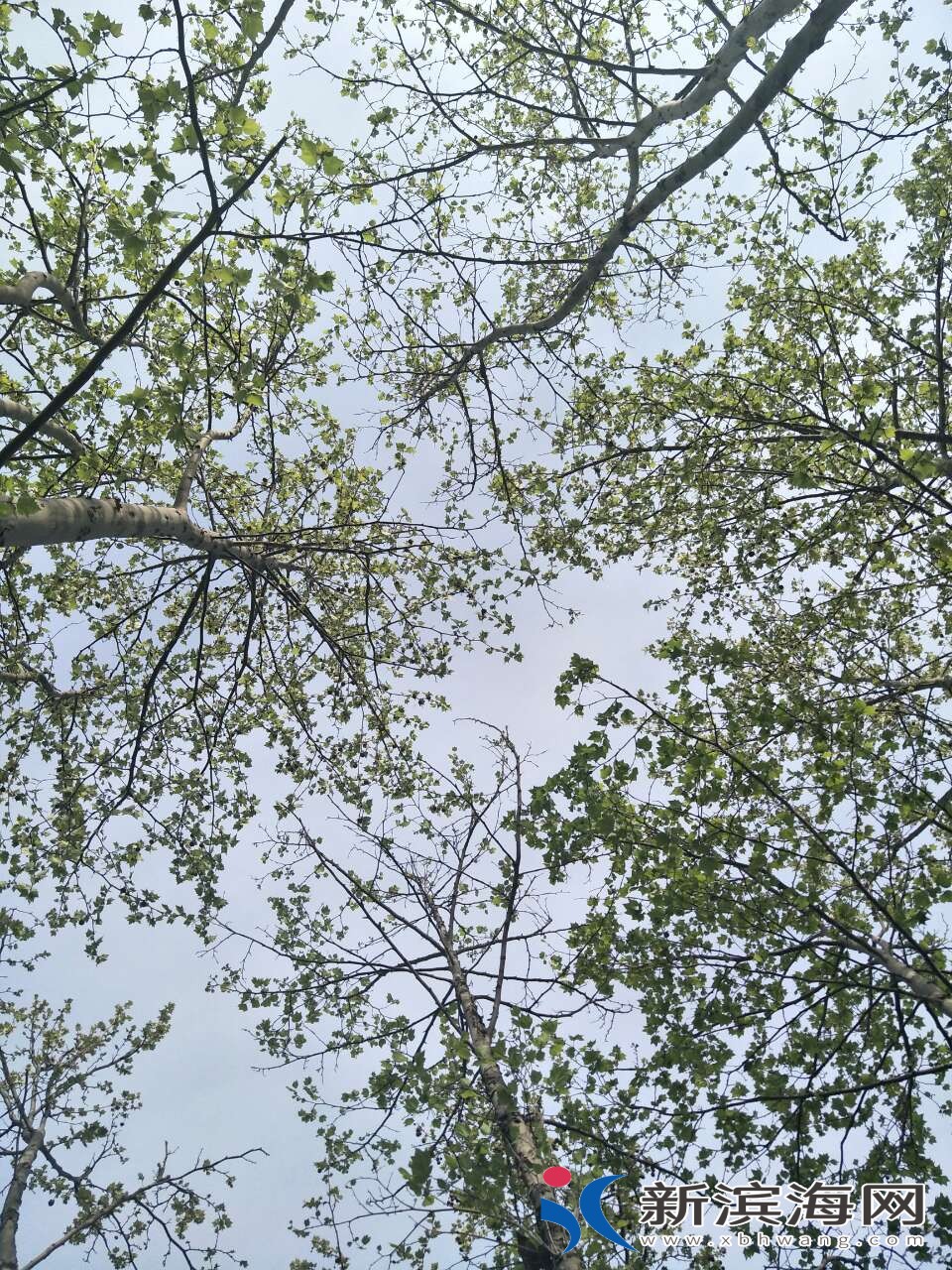 20180416_50259_1523838308686.jpg