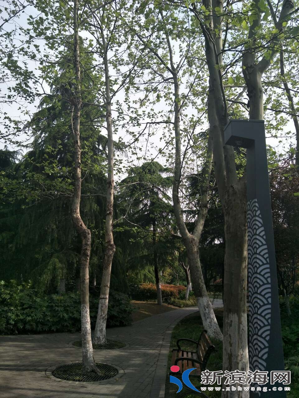 20180416_50259_1523838309750.jpg