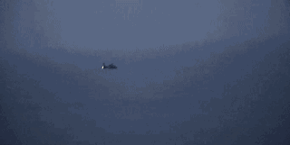 微信图片_20180419093527.gif