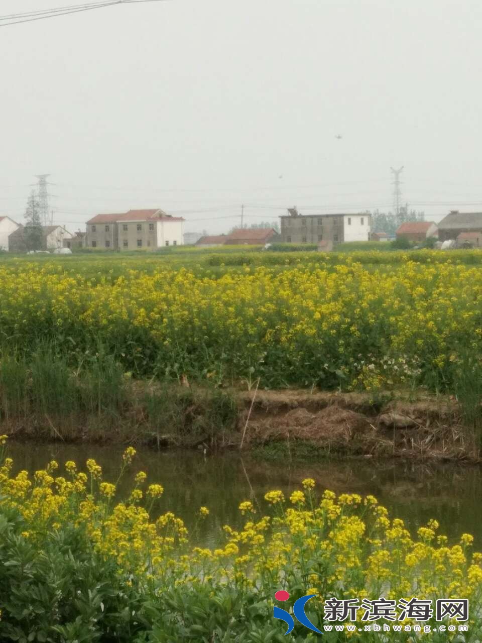 20180421_48443_1524301757690.jpg
