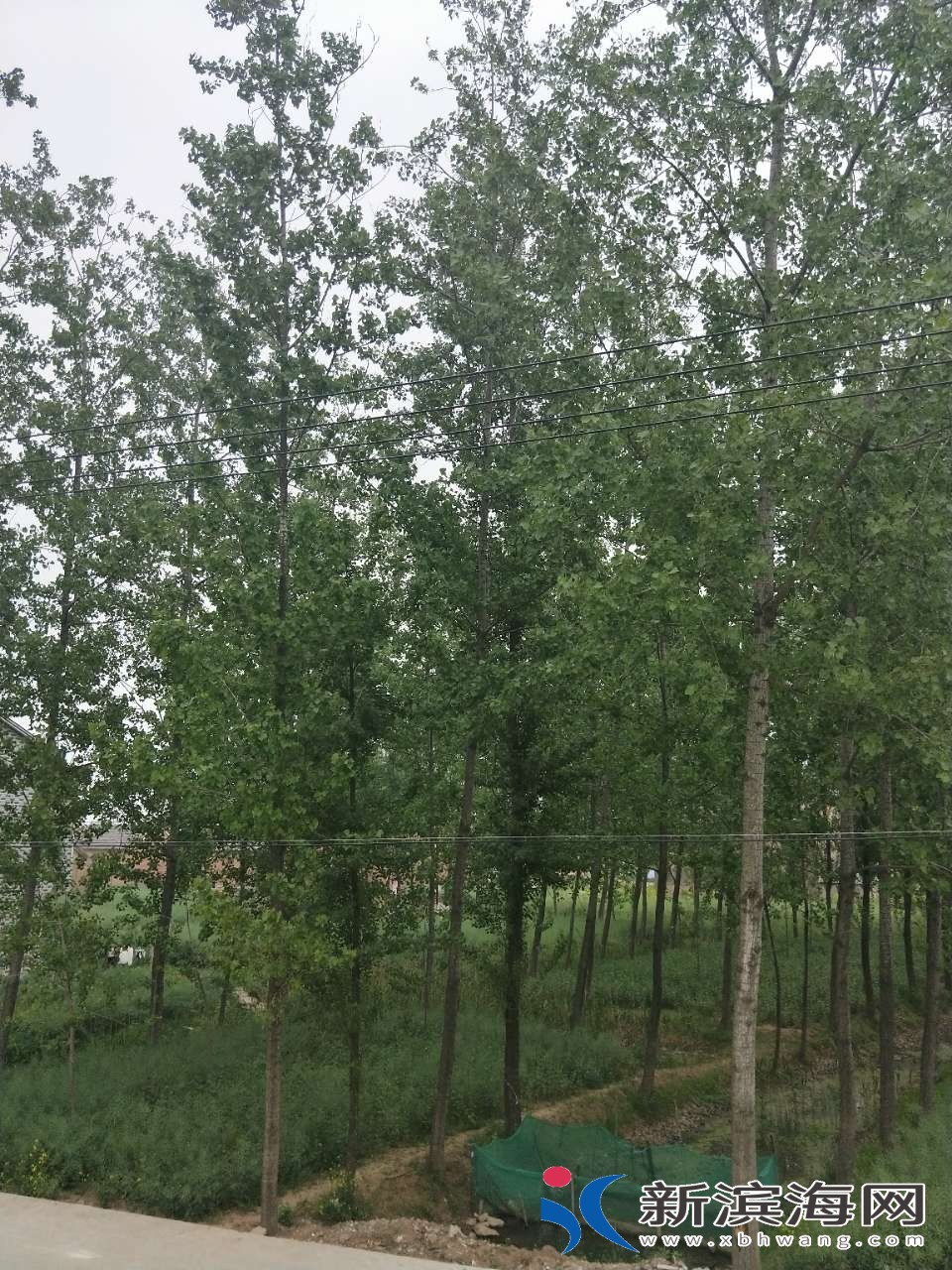 20180429_57232_1524980064360.jpg
