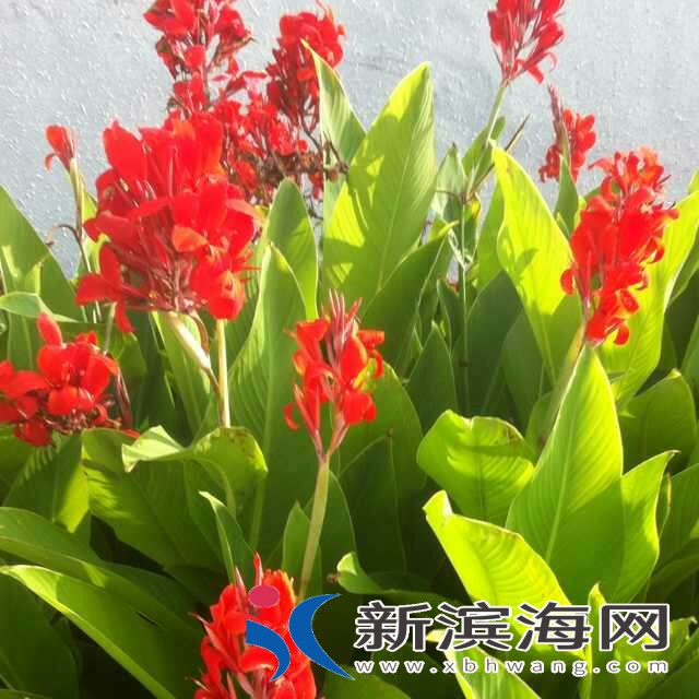 20180501_50682_1525126937479.jpg