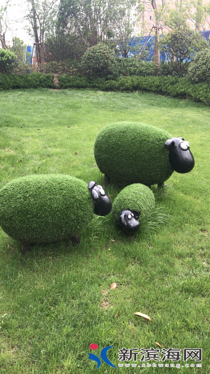 20180519566751526715433313131.jpg
