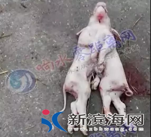 微信图片_20180524103747.jpg