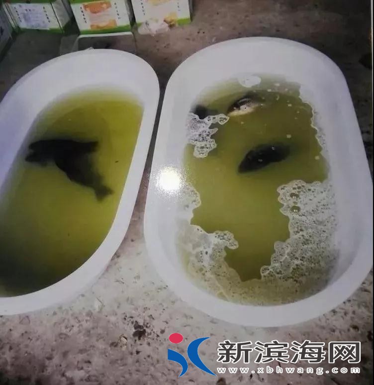 微信图片_20180602095503.jpg