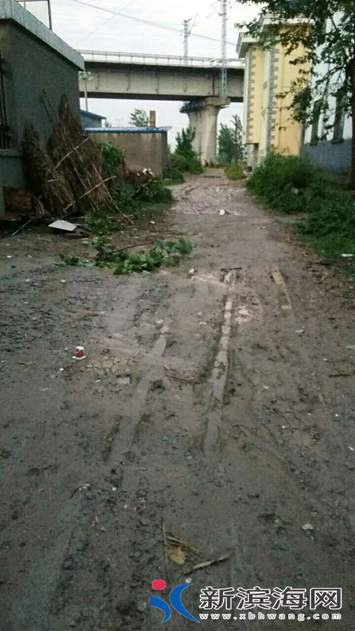 20180627_43617_1530098483442.jpg