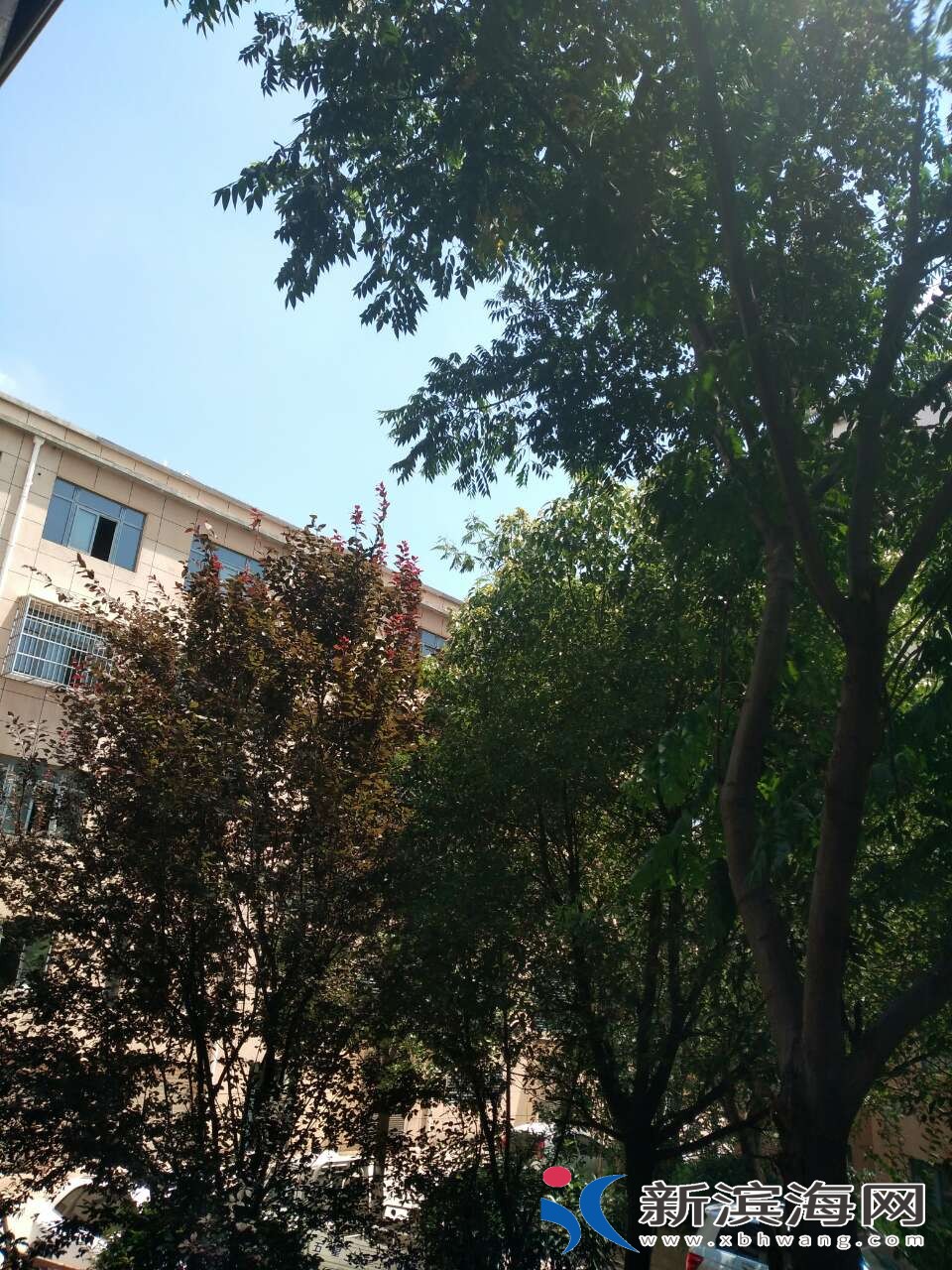 20180712_45591_1531373622179.jpg