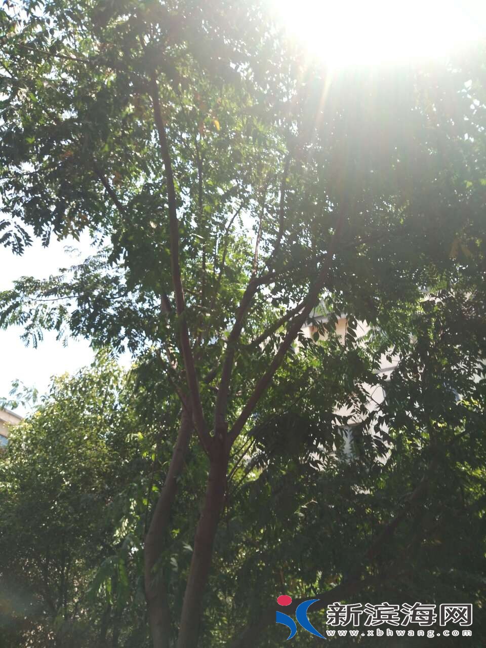 20180712_45591_1531373622636.jpg