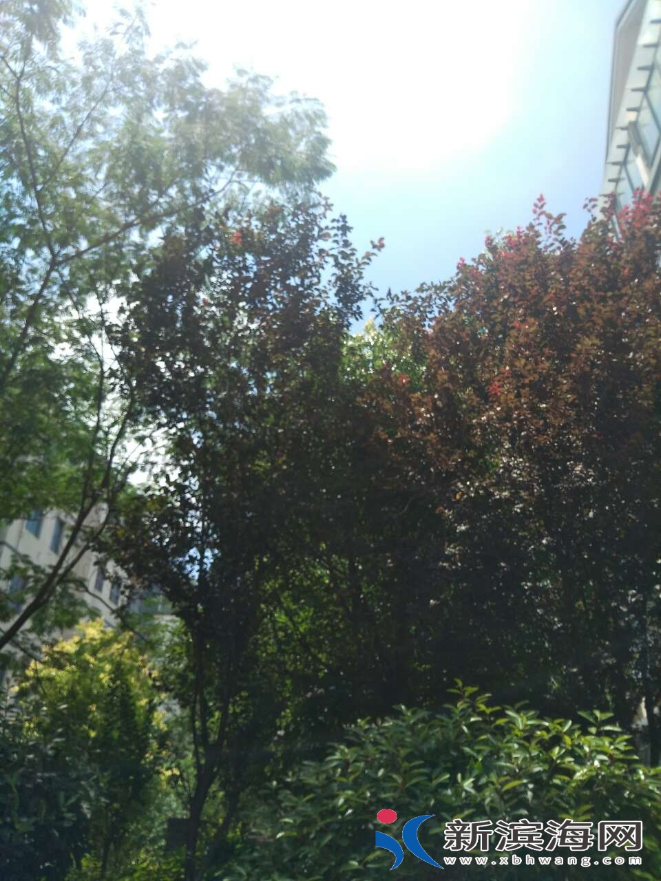 20180712_45591_1531373622984.jpg