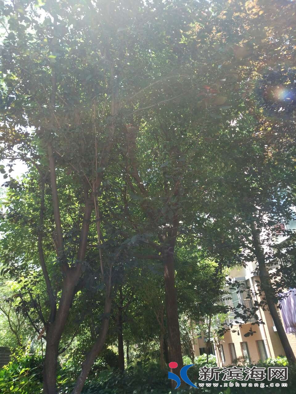 20180712_45591_1531373623667.jpg