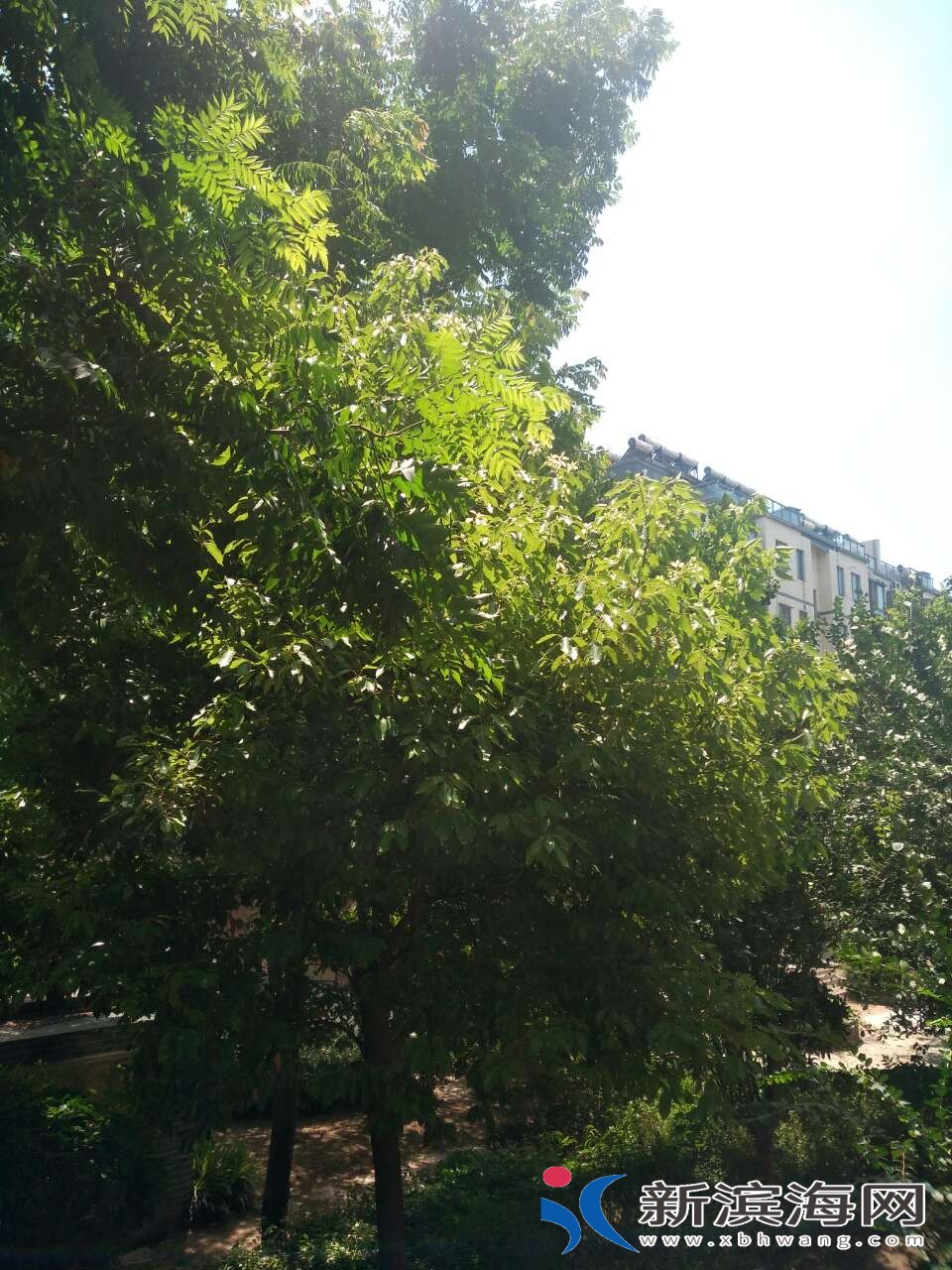 20180712_45591_1531373623307.jpg