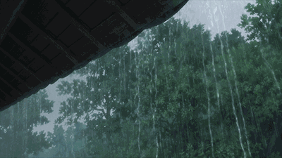 4.gif
