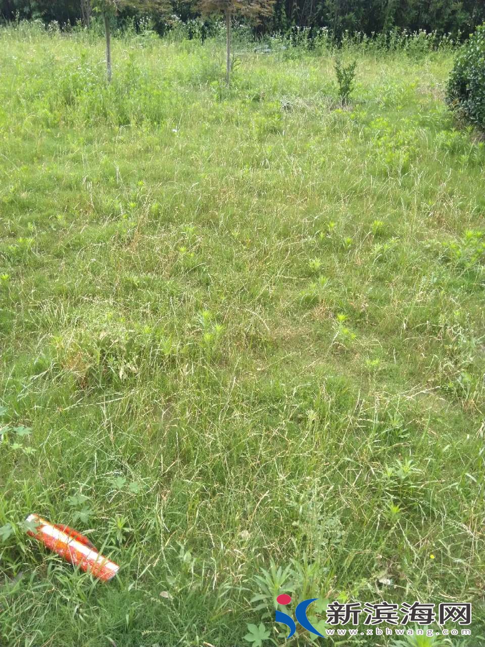 20180722_49353_1532241094572.jpg