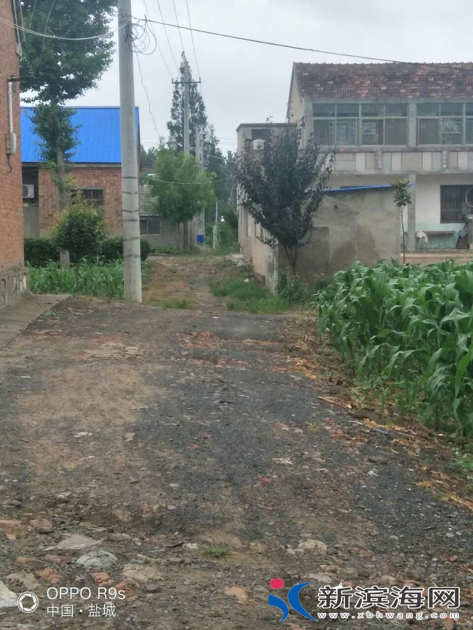 20180723_59450_1532321650279.jpg