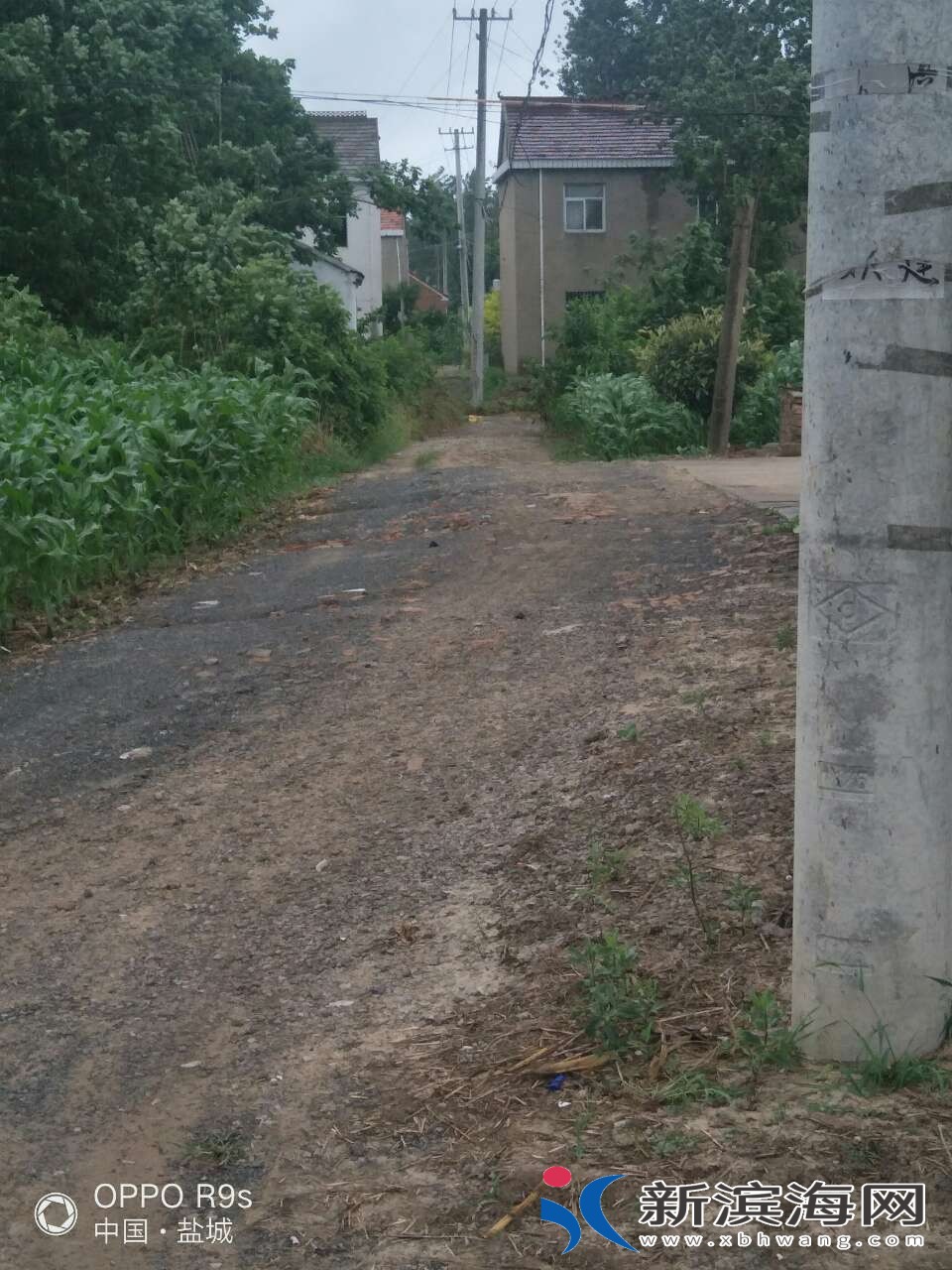 20180723_59450_1532321649854.jpg