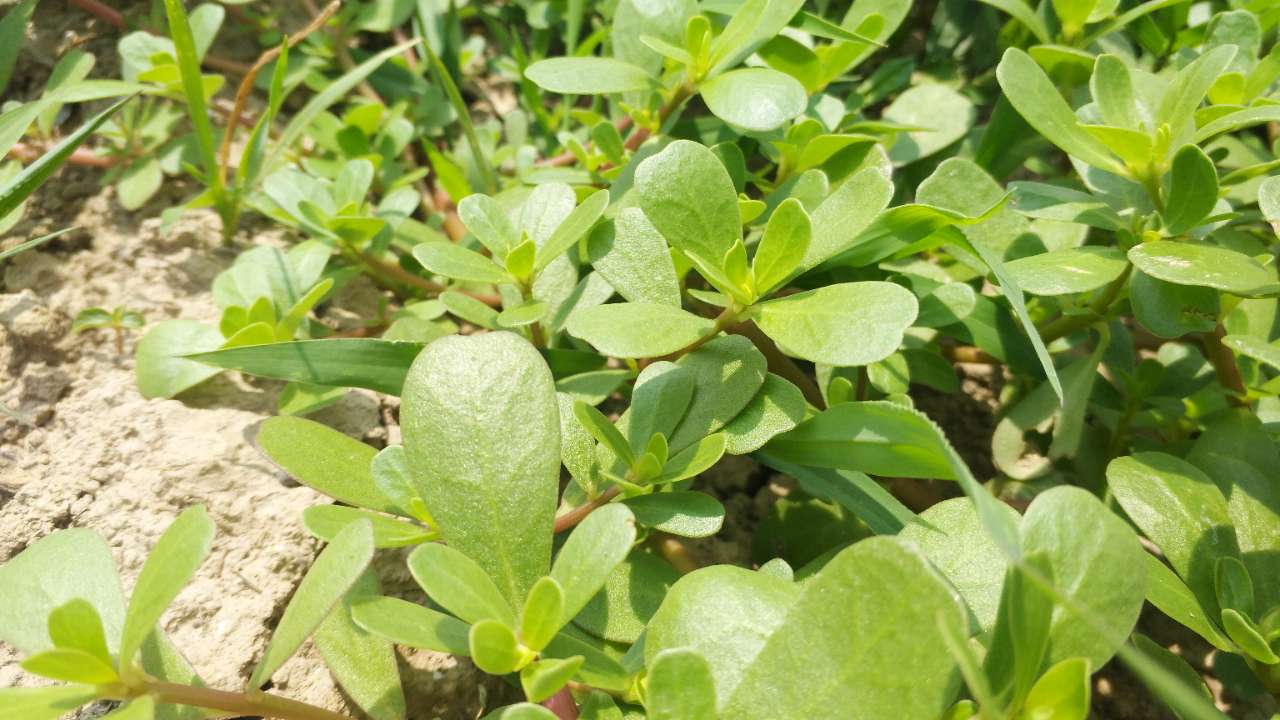 20180730_59600_1532933621599.jpg