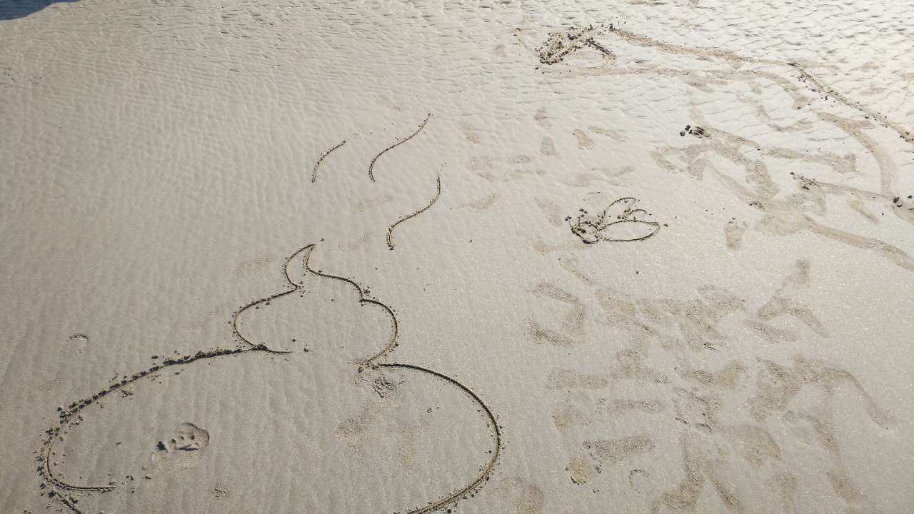 20180730_59600_1532933622247.jpg