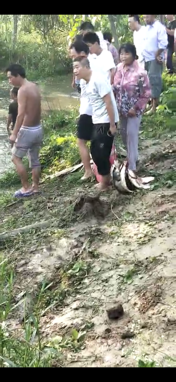 20180731590071533000587120593.jpg