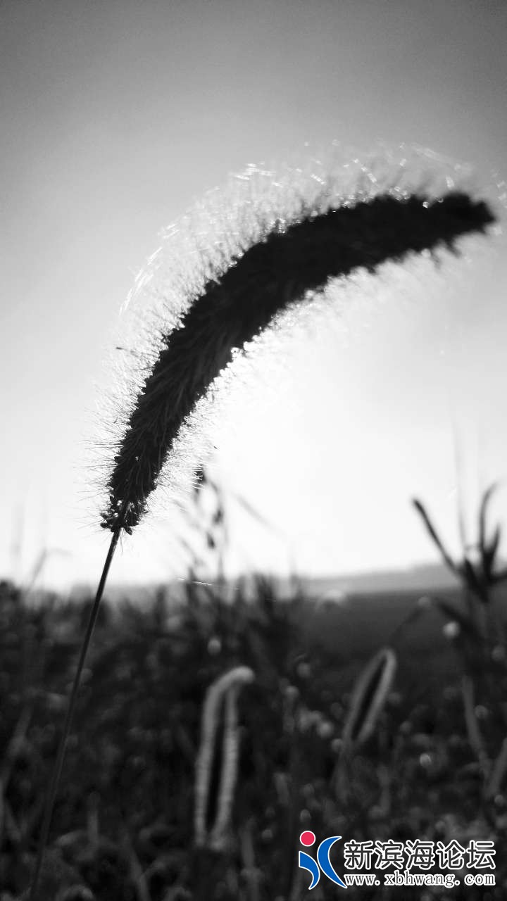 20180802_59600_1533214467821.jpg