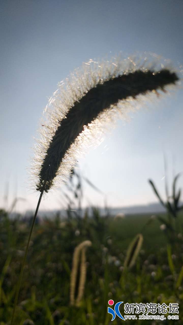20180802_59600_1533214467567.jpg