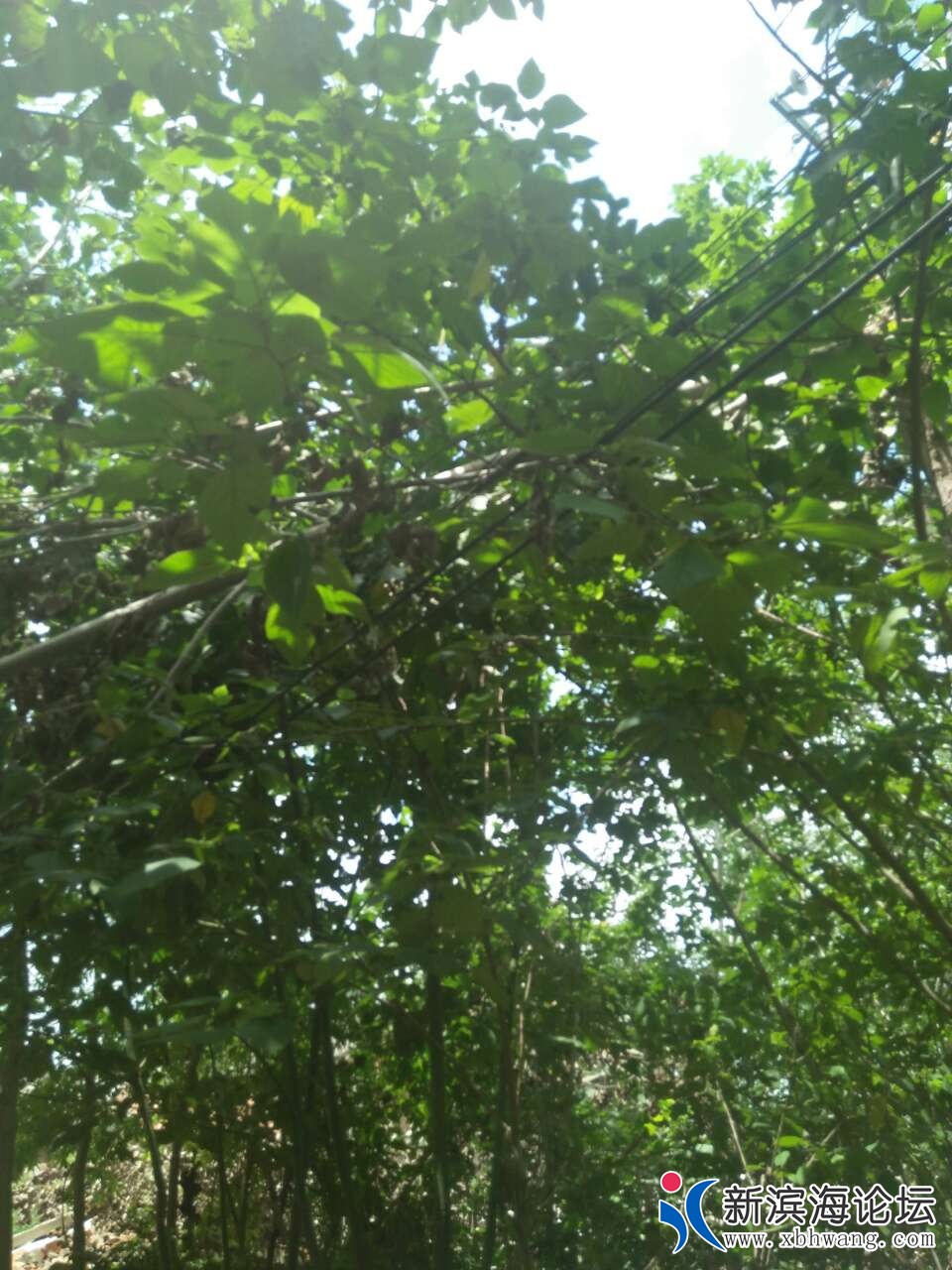 20180803_39494_1533279353620.jpg