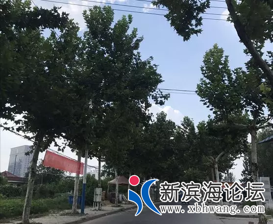 微信图片_20180804172442.png