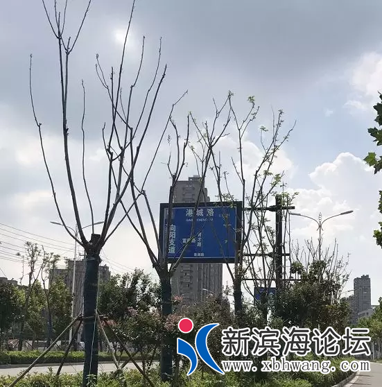 微信图片_20180804172438.png