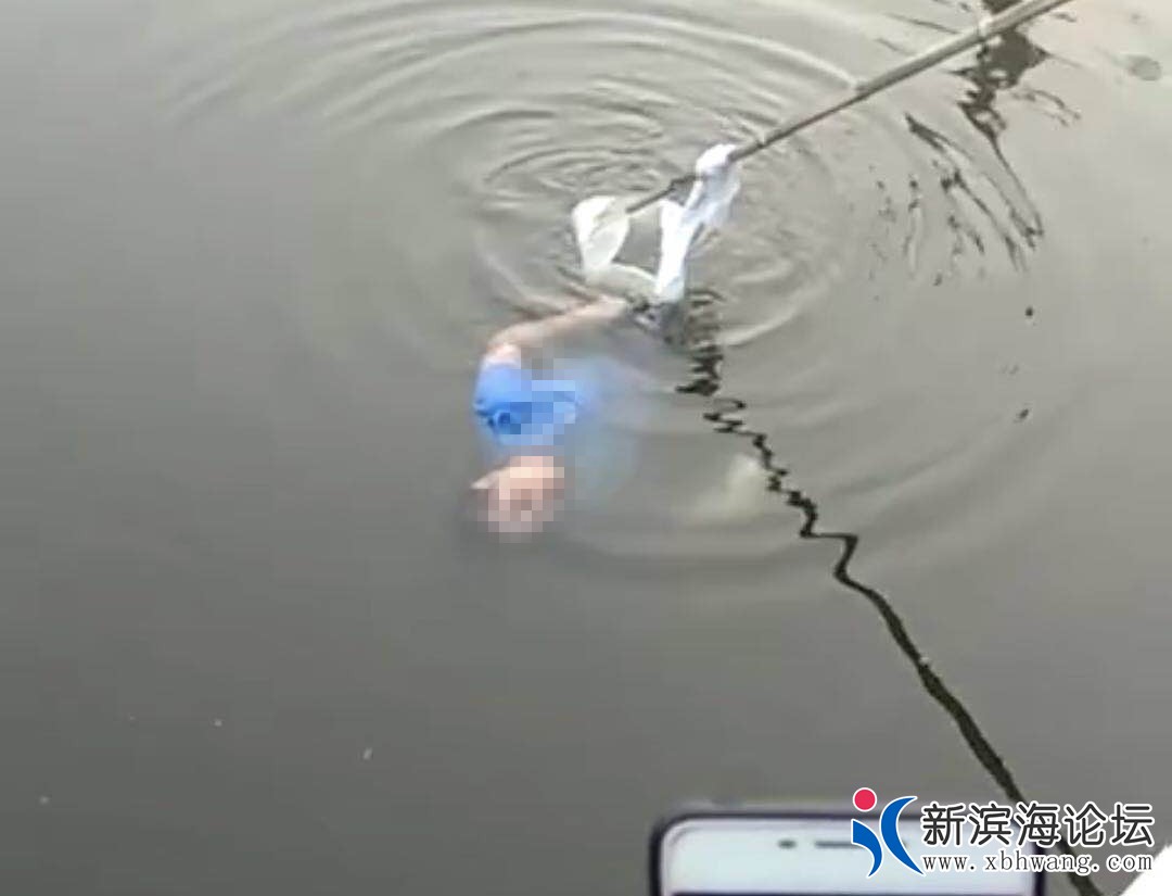 微信图片_20180805101931.jpg