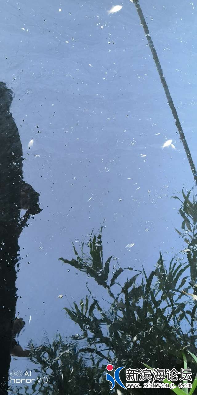 20180806_44494_1533506205440.jpg
