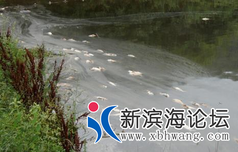 微信图片_20180814140857.png