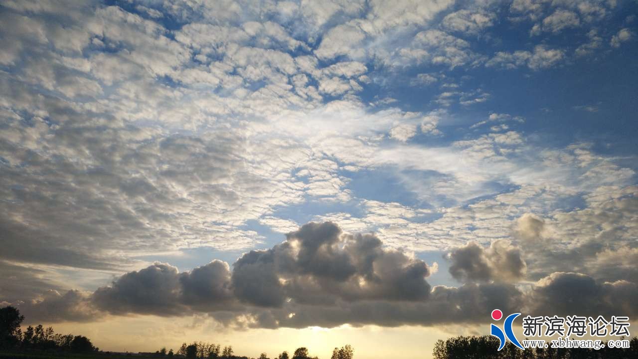 20180821_59600_1534848406942.jpg
