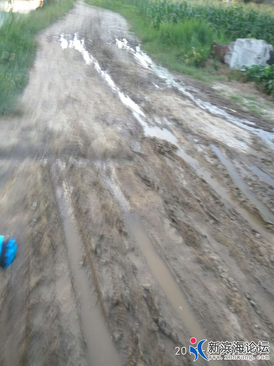 20180823_48606_1535022528409.jpg