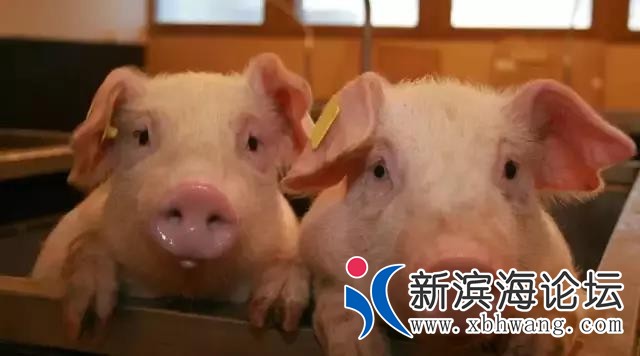 微信图片_20180828092953.jpg