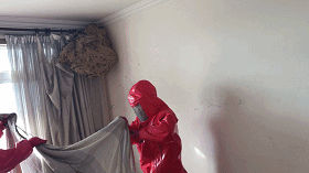 104016bkb5c65565wwkzt6.gif