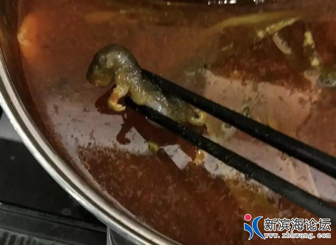微信图片_20180910093105.jpg