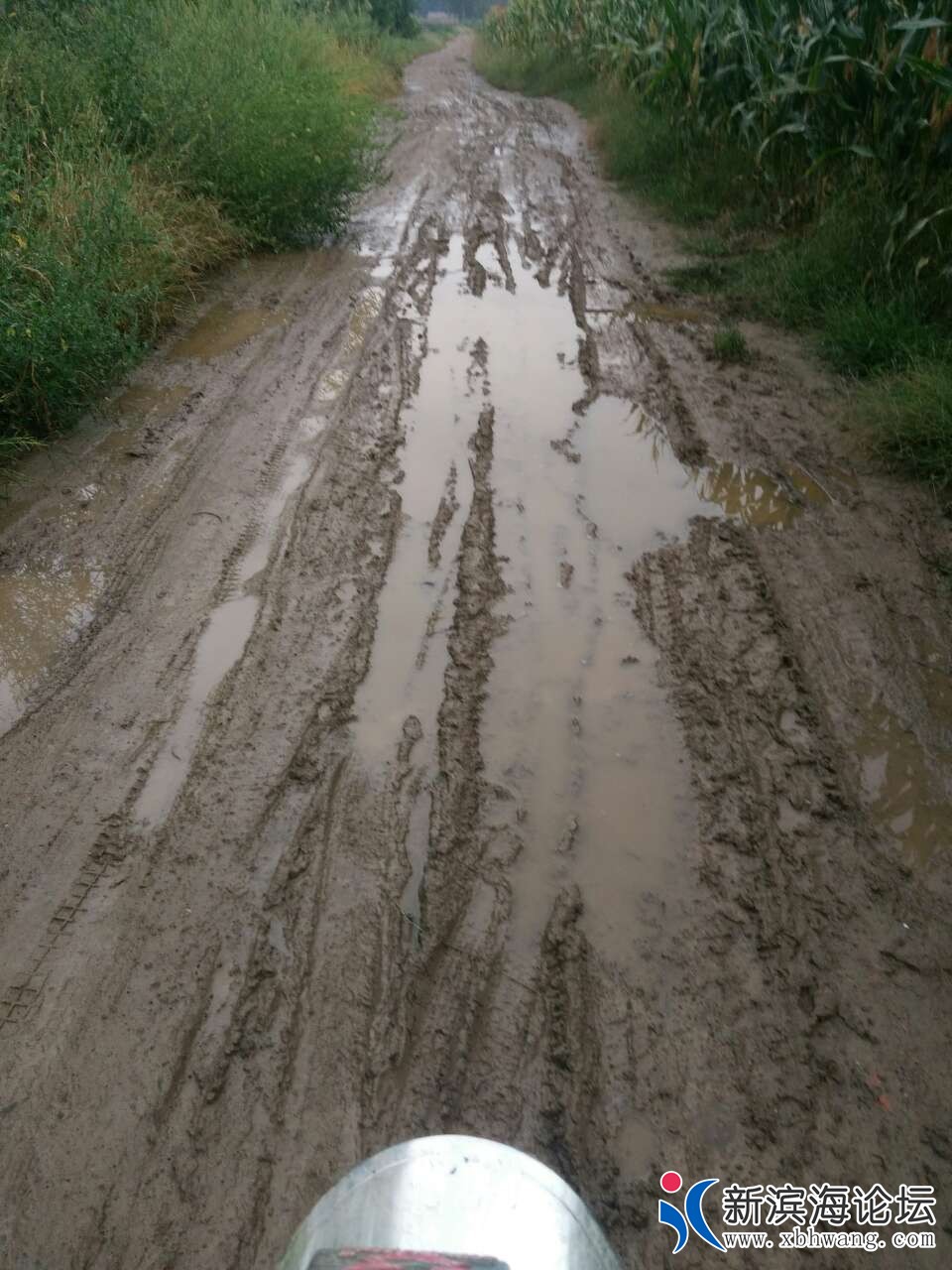 20180916_45378_1537067929650.jpg