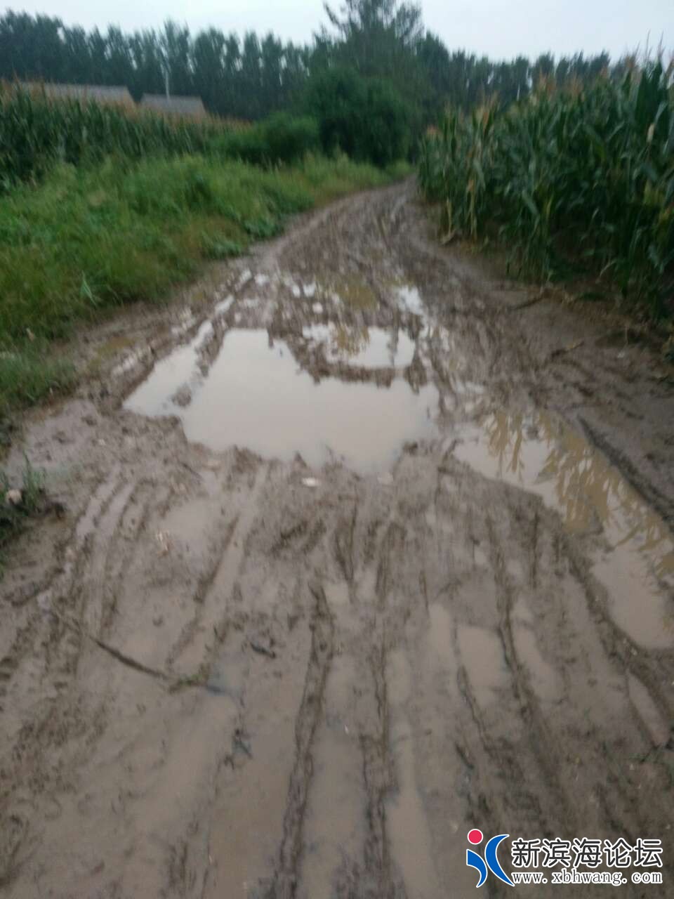 20180916_45378_1537067929011.jpg