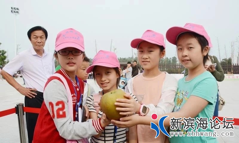 微信图片_20180912150233 - 副本.jpg