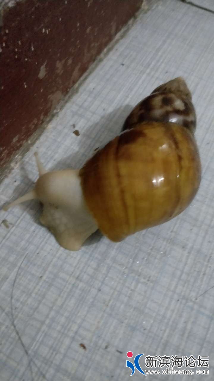 20180917_54472_1537190091534.jpg