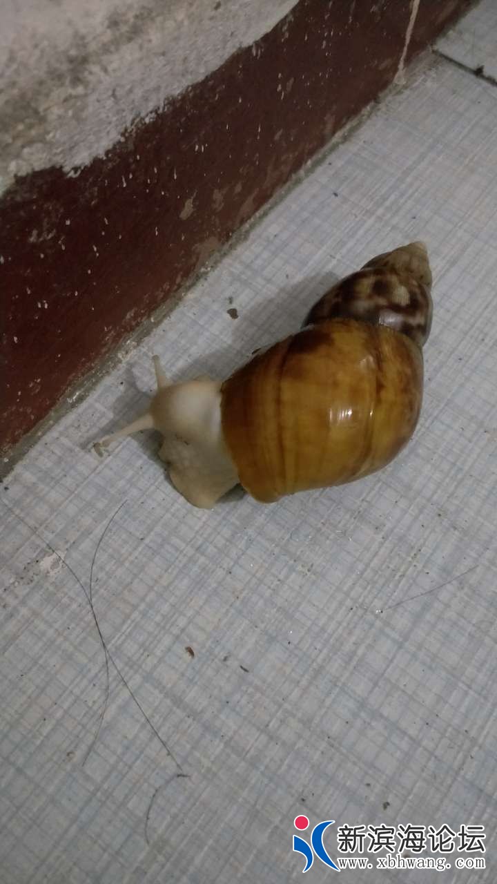 20180917_54472_1537190091744.jpg