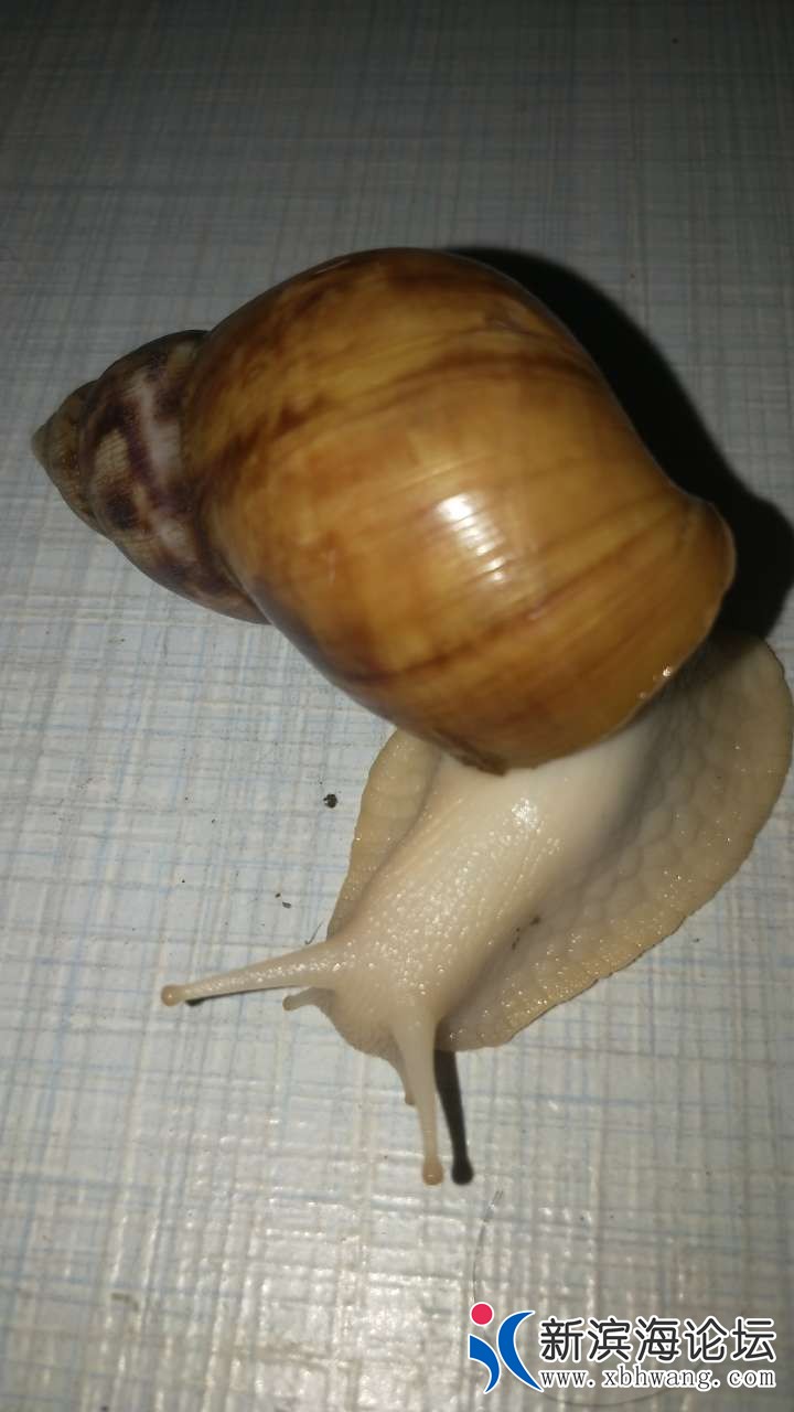 20180917_54472_1537190682867.jpg