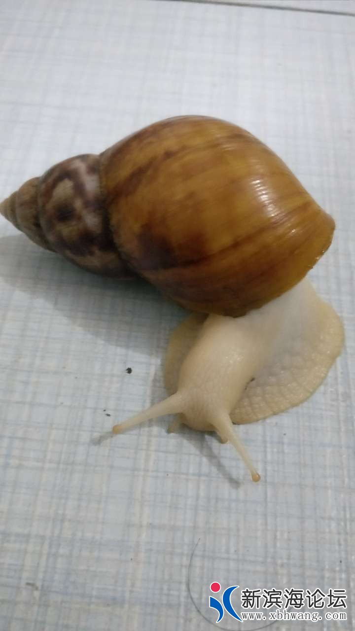 20180917_54472_1537190683080.jpg